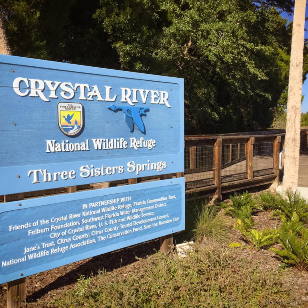 New Cozy House 5 Min Three Sisters Springs Villa Crystal River Exterior photo